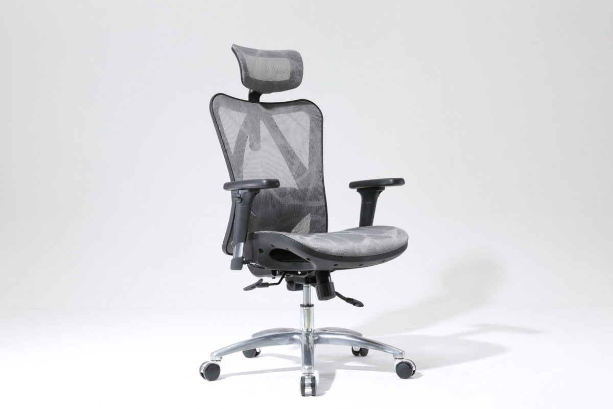 Sihoo M57 Ergonomic Office Chair (Dark Gray) Fairwaytrading