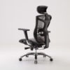 Sihoo V1 Ergonomic Office Chair (Dark Gray)