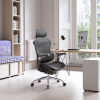 Sihoo DORO-C300 PRO Ergonomic Office Chair Black