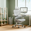 Sihoo DORO-C300 PRO Ergonomic Office Chair Light Gray