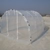 Tunnelhouse 3x3M (transparent)