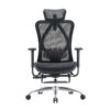 Sihoo M57 Pro Ergonomic Office Chair