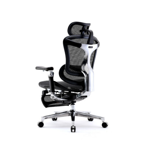 Sihoo DORO-C500 Ergonomic Office Boss Chair - Image 9