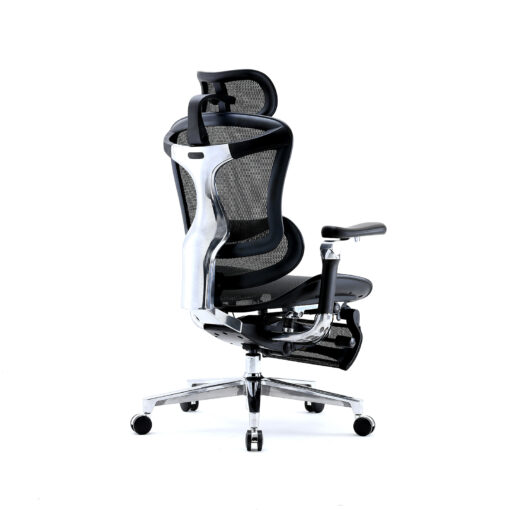 Sihoo DORO-C500 Ergonomic Office Boss Chair - Image 8