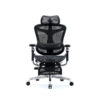 Sihoo DORO-C500 Ergonomic Office Boss Chair