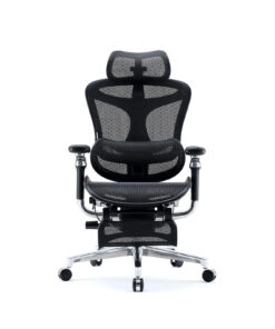 Sihoo DORO-C500 Ergonomic Office Boss Chair