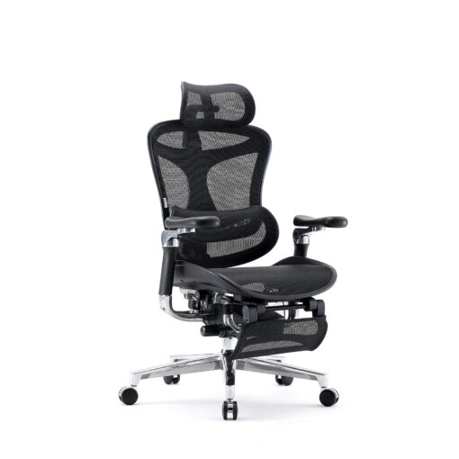 Sihoo DORO-C500 Ergonomic Office Boss Chair - Image 6