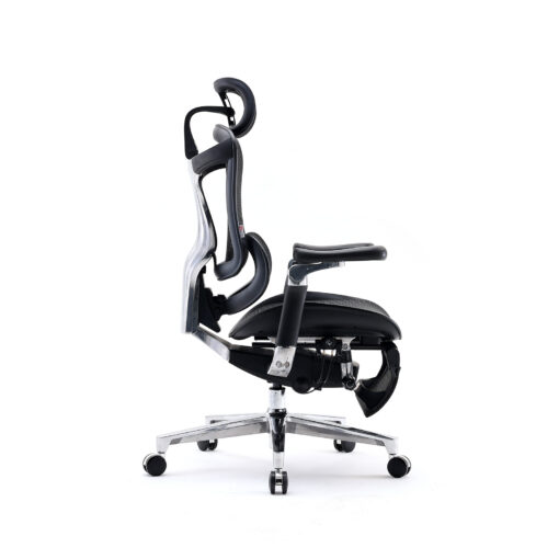 Sihoo DORO-C500 Ergonomic Office Boss Chair - Image 4
