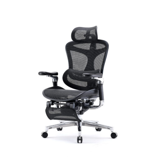 Sihoo DORO-C500 Ergonomic Office Boss Chair - Image 2