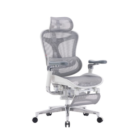 Sihoo DORO-C500 Ergonomic Office Boss Chair - Image 13