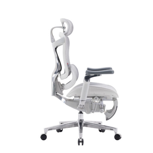 Sihoo DORO-C500 Ergonomic Office Boss Chair - Image 15