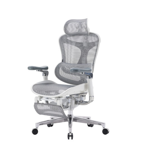 Sihoo DORO-C500 Ergonomic Office Boss Chair - Image 16