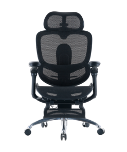 Sihoo Doro C300 Pro V2 Ergonomic Office Chair